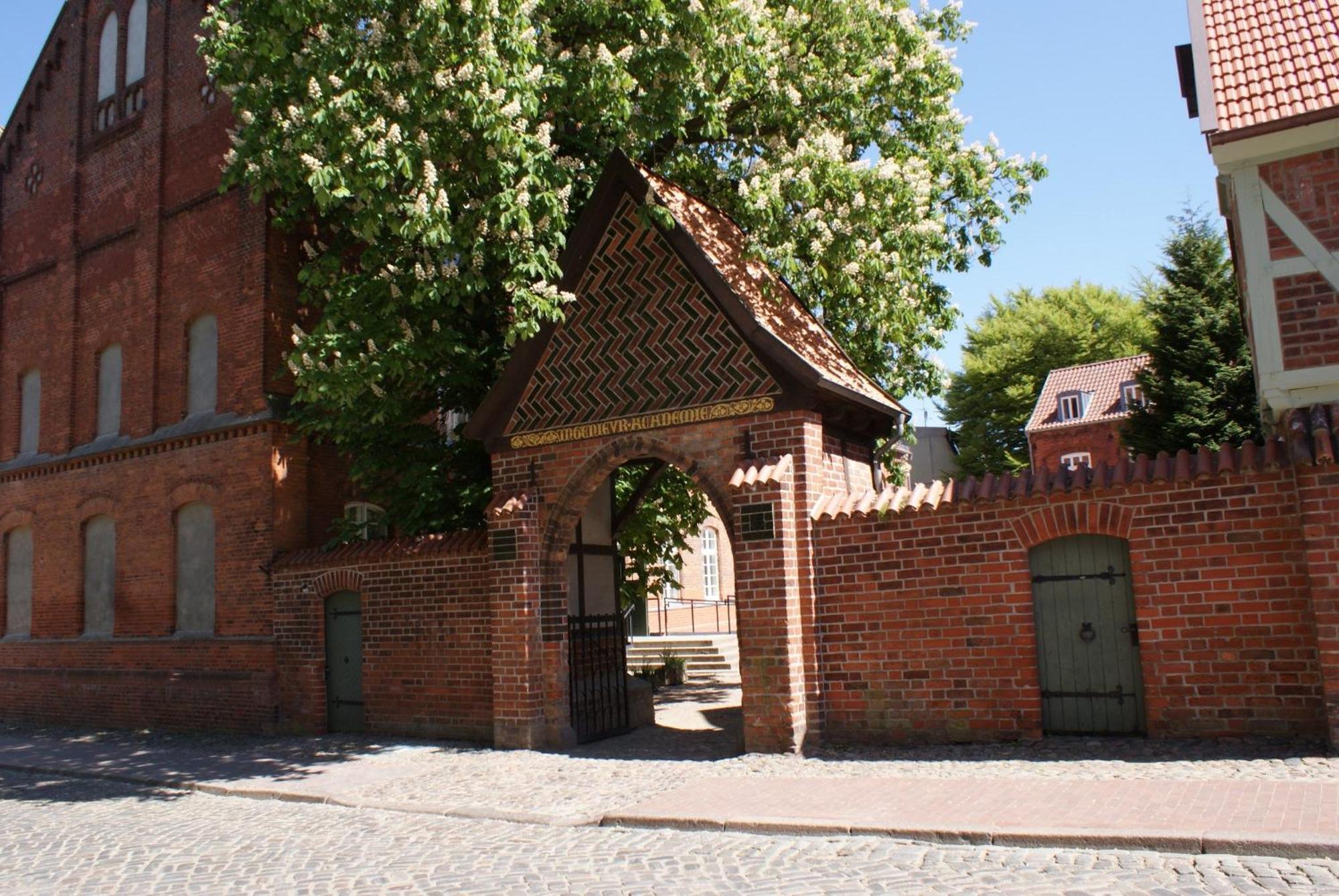 Walfisch Im Zentrum - Abc350 * Wismar